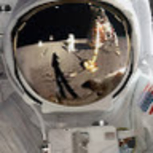 Meet your Posher, Furious ziro dog - Picture 1 of 1